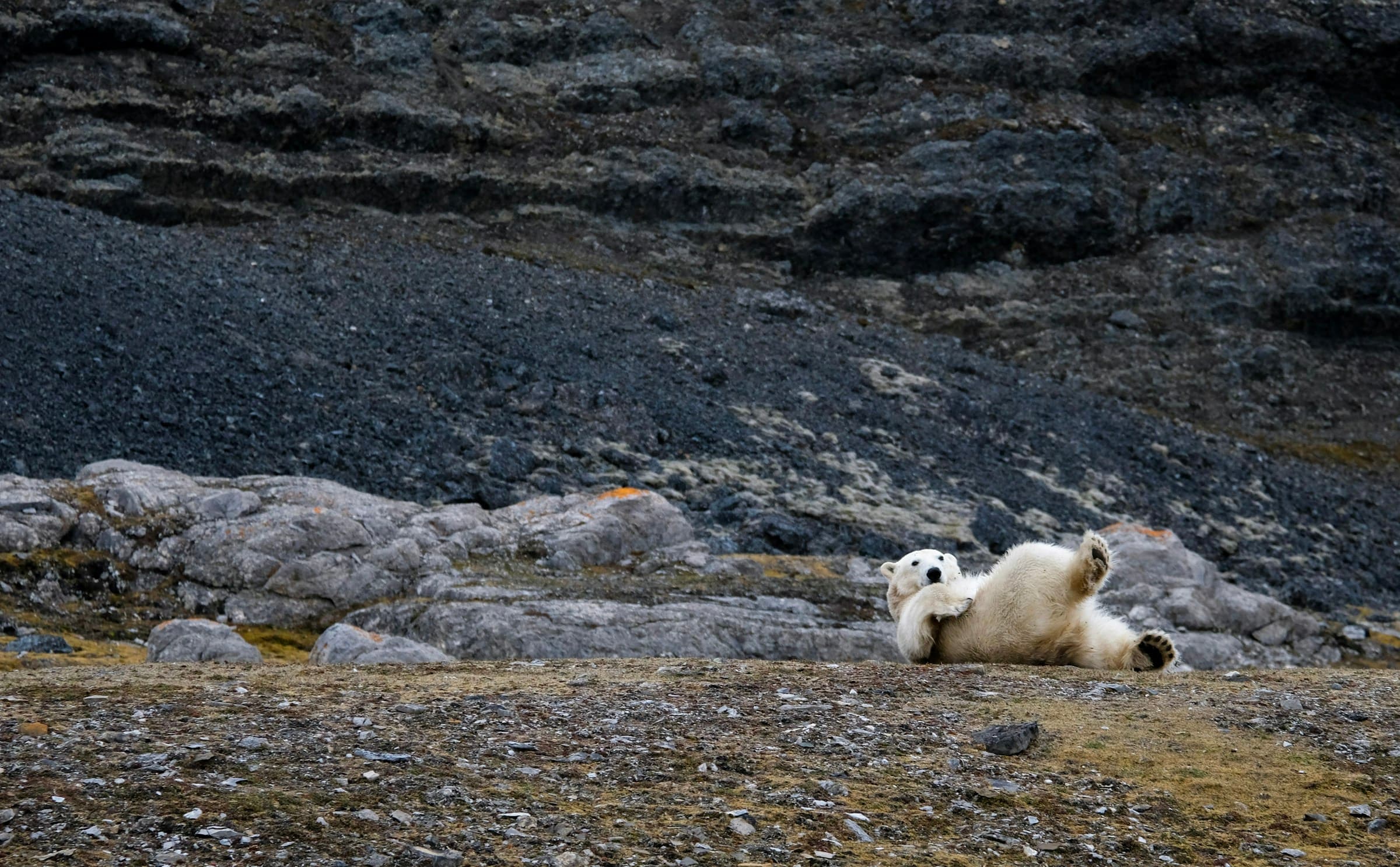 Arctic — Svalbard & Northwest Passage