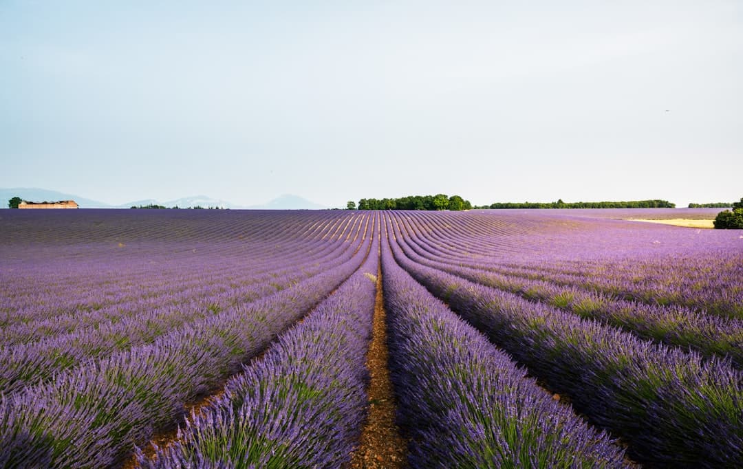Provence, France